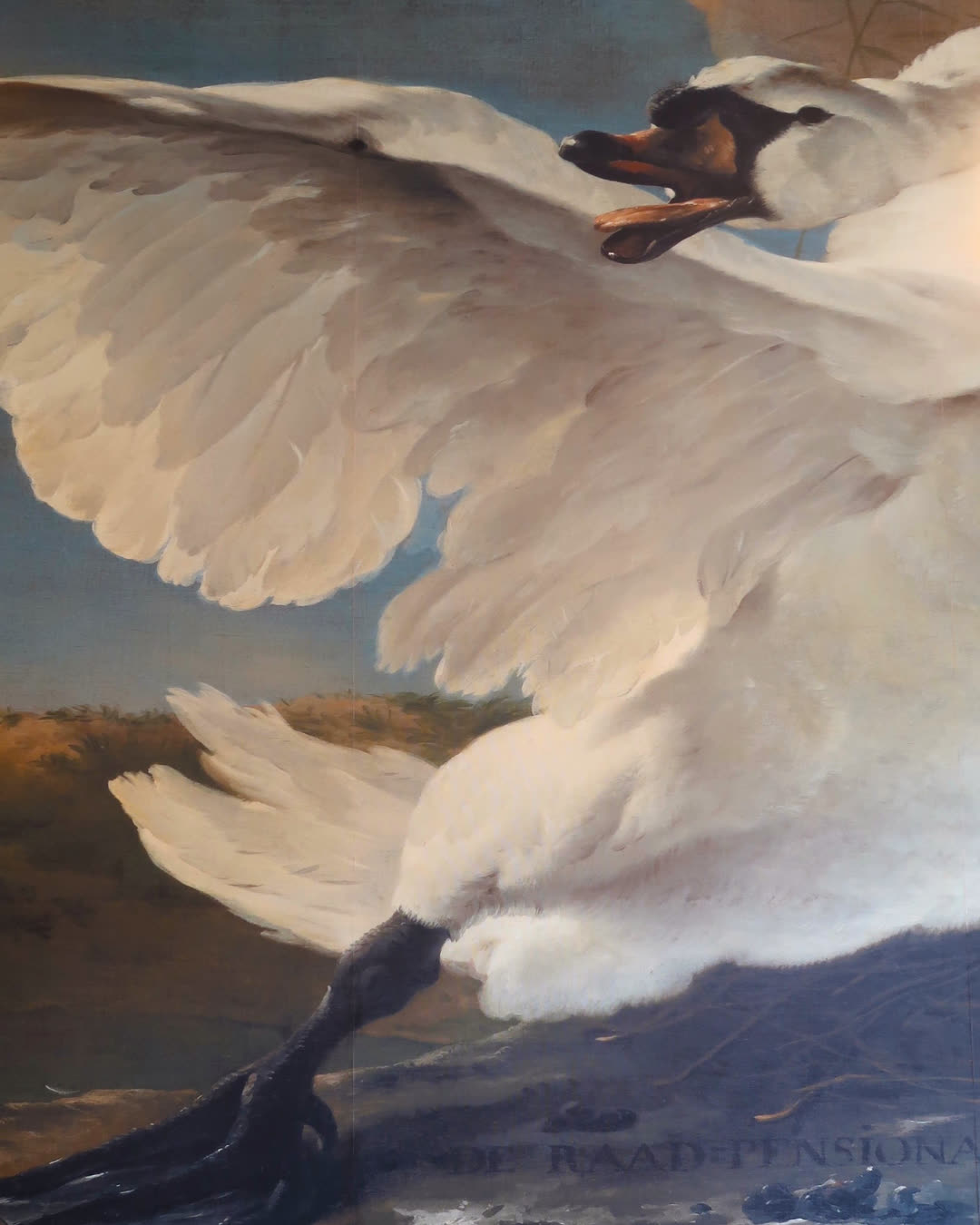 The Threatened Swan